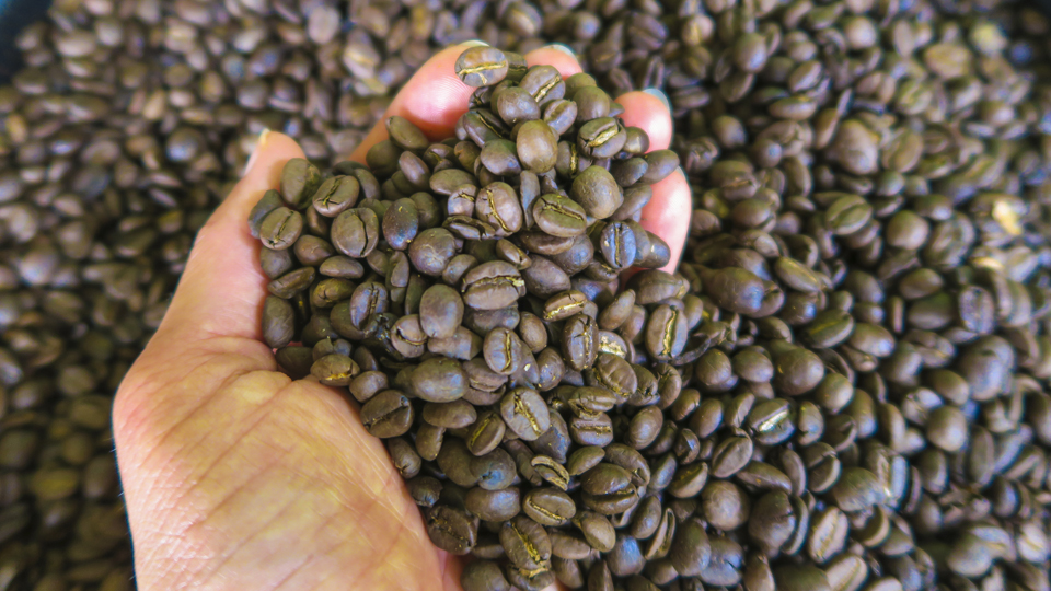 Cafeína e seus dilemas: seria ela aliada ou vilã no pré-treino?
