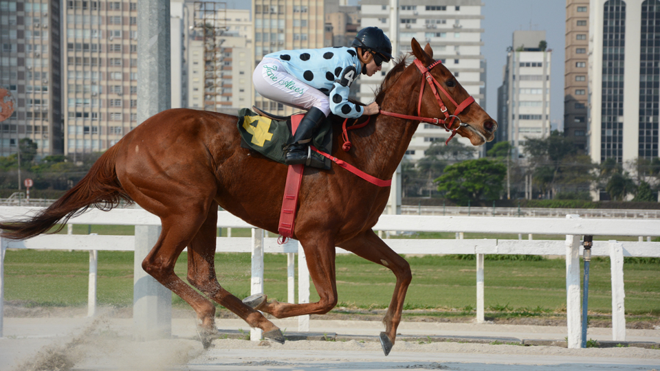 Das vaquejadas ao Jockey Club: conheça a única mulher a disputar o páreo principal do Grande Prêmio São Paulo de Turfe